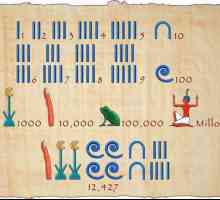 Система за египетски номера. История, описание, предимства и недостатъци, примери за системата на…