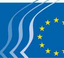 Икономическата комисия за Европа (ИКЕ на ООН): състав, функции, правила