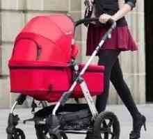 Ако се очаква семейството да добави: Baby Baby carriage