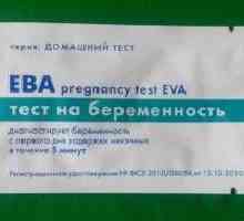 `Ева` - тест за бременност: рецензии, характеристики на приложенията, цени