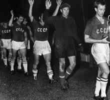 ЕВРО-1960: резултати