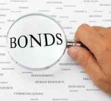 Еврооблигации - какво е това? Кой издава и за какво са еврооблигациите?