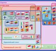 Европейско икономическо пространство: формиране, участници и отношения с Евразийската икономическа…