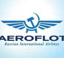 Факти за компанията "Aeroflot". Кой притежава Aeroflot?