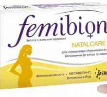 "Femibion ​​-1": състав. "Femibion" за бременни жени: ръководство, рецензии