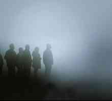 Филмът на ужасите "Mist": ревюта, впечатления