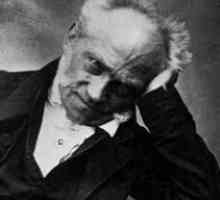 Философията на Шопенхауер: доброволност и безцелност на човешкия живот