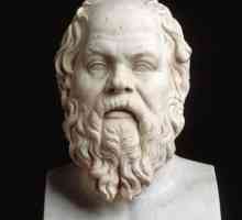 Философията на Сократ: кратка и разбираема. Сократ: основните идеи на философията