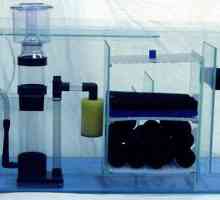 Филтрирайте за аквариума със собствените си ръце. Как да съберете филтър за аквариум: схеми, съвети