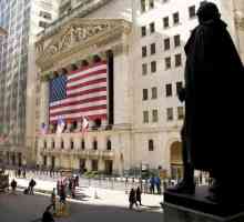 Американските финансови пазари: Характеристики