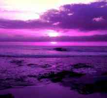 Пурпурен цвят: значение в човешкия живот
