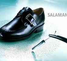 Маркирани обувки `Salamander` (Salamander): правилната грижа и обратна връзка с…