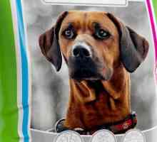 "Фитокалцев" за кучета: комплекс от витамини за поддържане здравето на домашни любимци