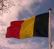 Знамето на Белгия като държавен символ