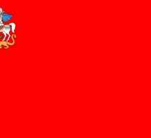 Знаме на региона на Москва. Знамена на административните единици в региона.