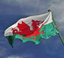 Знамето на Уелс, неговия произход и други символи на страната
