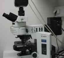 Флуоресцентна микроскопия: принципи на метода
