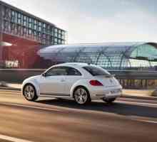 "Volkswagen Beetle: преглед на модела