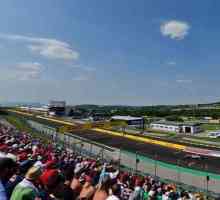 "Формула 1": Гран при на Унгария