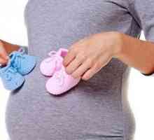 Формите на корема по време на бременност от момиче и момче (снимка)