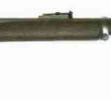 Снимка, история, описание на пушката "Пейбоди Мартини" от 1869 г.