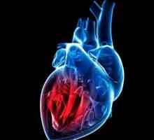 Фракция на изхвърлянето на сърцето: норма и патология