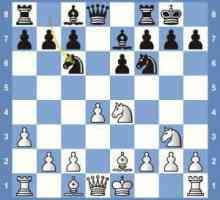 Френска отбрана в шаха: кратък анализ на договореностите