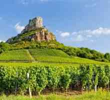 Френски вина от Бургундия