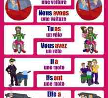 Френски глагол avoir: конюгиране по време и наклон