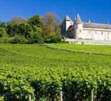 Френско вино "Петрус": описание, снимка