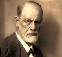 Фройдизмът е какво? Определение и посока