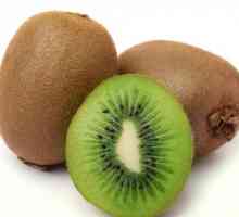 Kiwi плодове: полза и вреда
