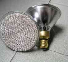 Халогенни лампи за дома: Предимства и критерии за подбор