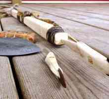 Харпон е най-старото ловно оръжие. Дизайнът на харпуна и неговото развитие