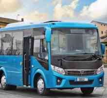 GAZ (автобус) - предимства, посоки, модел