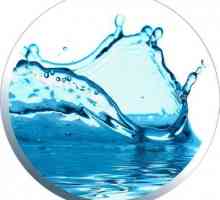 Къде и как да анализираме водата от кладенец? Химически, бактериологичен анализ на вода от…