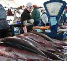 Къде е най-добрият рибен пазар в Русия?