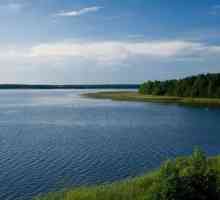 Къде е Белото езеро в Беларус?