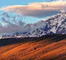 Къде са Златните планини на Алтай? Снимка на Златните планини на Алтай