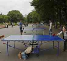 Къде да играете тенис на маса в Москва? Клубове и секции от тенис на маса в Москва
