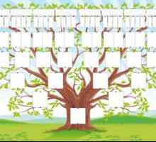 Генеалогично дърво по собствени ръце: избор на информация, правилно конструиране, идеи за дизайн