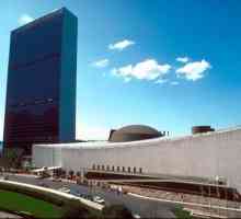 Генерален секретар на ООН: трудна служба за мир
