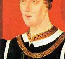 Хенри VI: биография, постижения и интересни факти