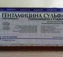 "Гентамицин сулфат": инструкции за употреба, аналози и прегледи
