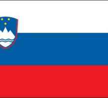 Герб и флаг на Словения