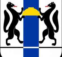 Гербът на района на Новосибирск. Описание и символи
