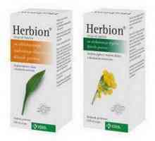 "Хербион: планта", сироп за кашлица: инструкция