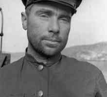 Герой на Съветския съюз Lunin Николай Александрович: биография, подвиг и интересни факти