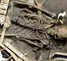 Гигантски скелети на хора: истина или умело фалшифициране?
