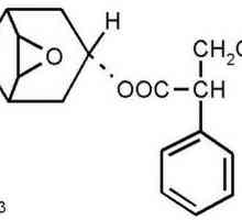 Hyoscine butyl bromide: описание, свойства, приложение